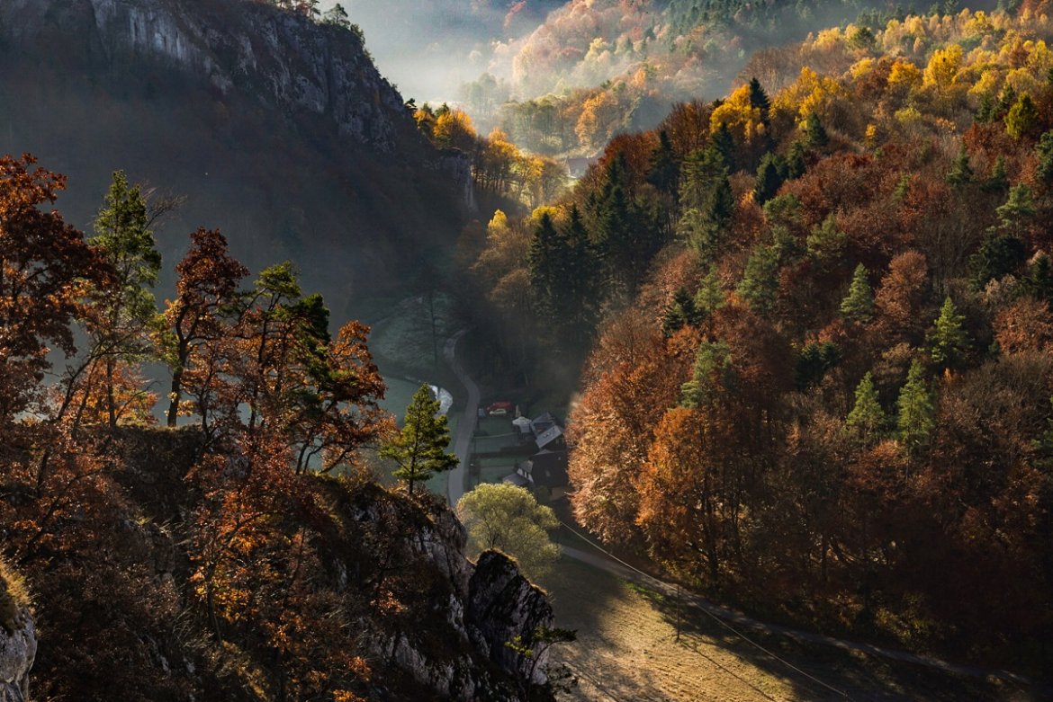 Polskie Parki Narodowe, fot. Patryk Fiutek