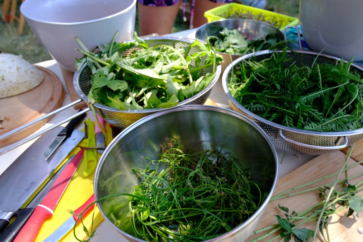 Fot. N. Jędrzejczak