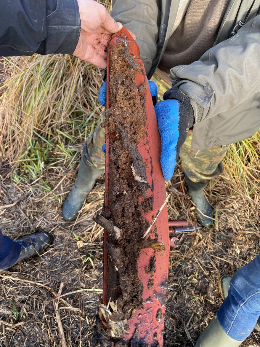 Torf z jednego z torfowisk w Wielkopolsce (fot M. Lamentowicz)