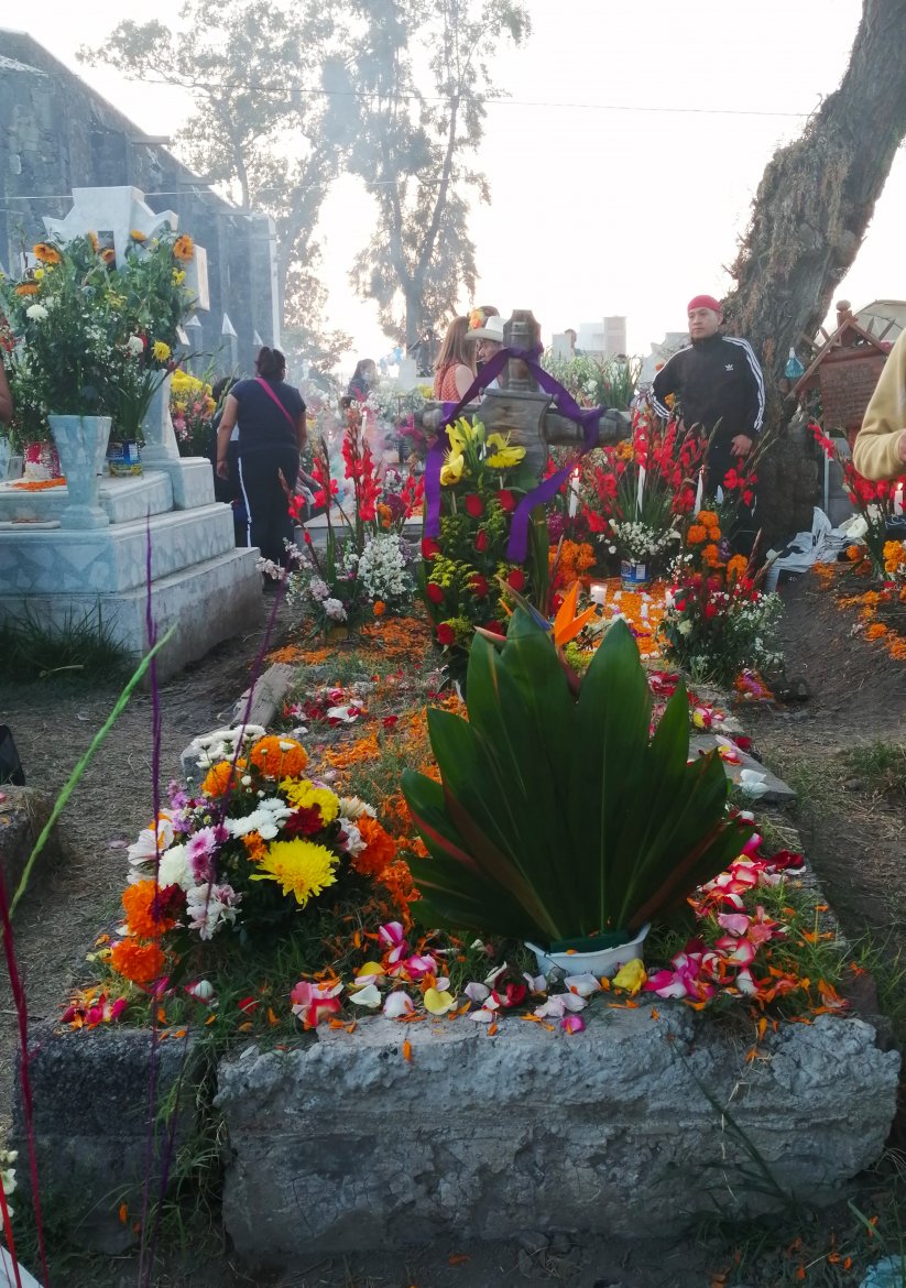 Fot. I. Kasperska