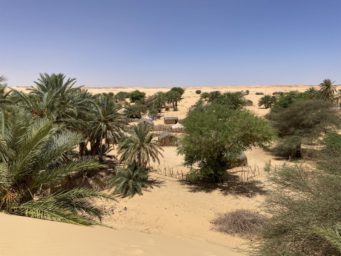 Geopraktyki 2023. Dr Magdalena Kugiejko