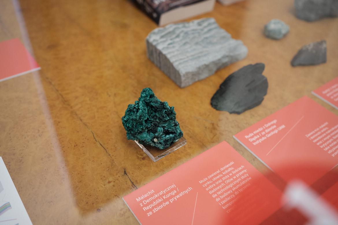 Eksponaty z Muzeum Ziemi UAM