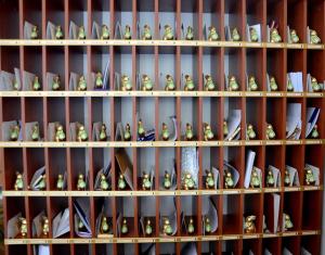 Zając dla każdego na WNPiD