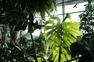 Wydział Biologii. fot. Władysław Gardasz