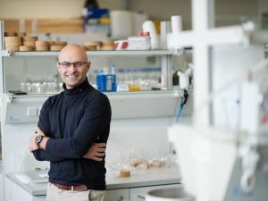 Prof. Artur Stefankiewicz. Fot. Adrian Wykrota