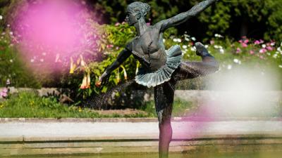 Ogród Botaniczny UAM | fot. Adrian Wykrota