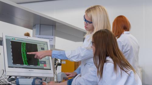 Ranking Times Higher Education