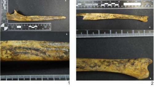 fot. Danuta Żurkiewicz