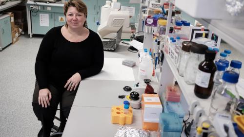 Prof. Joanna Wesoły