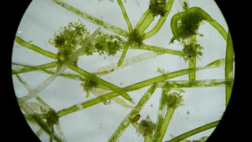 Fot. Ryszard Piotrowicz