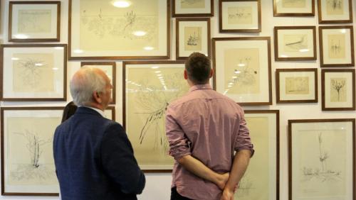 Wystawa rysunków Fortunaty Obrąpalskiej, Fot. Jagoda Haloszka