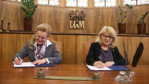 Fot. Przemysław Stanula