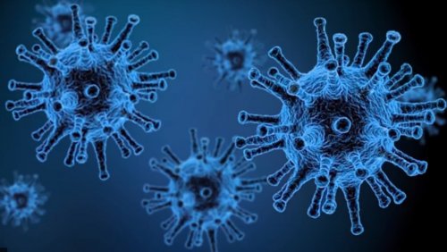 Graf. Wojciech Puppel, Studio Filmowe UAM