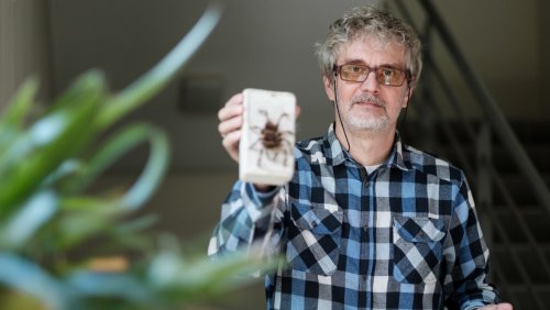 Prof. Paweł Szymkowiak jest jedynym arachnologiem na UAM