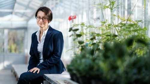 Dr Agnieszka Eleonora Zwolińska. Fot. Adrian Wykrota