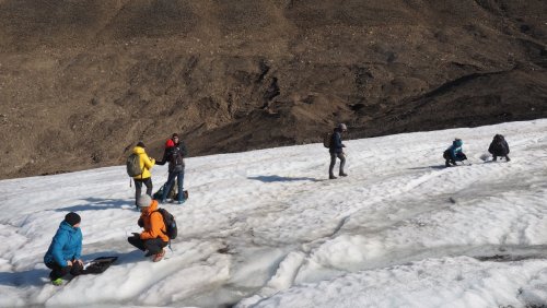 Fot. Łukasz Grewling i Mikołaj Jatrzębski