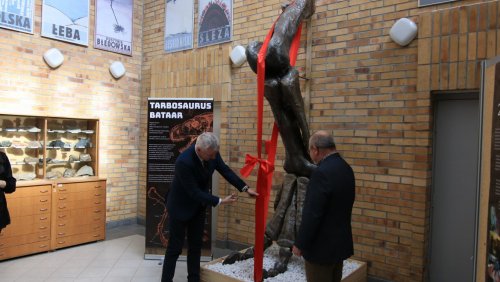 Odsłonięcie łapy tarbozaura w Instytucie. Fot. Przemysław Stanula