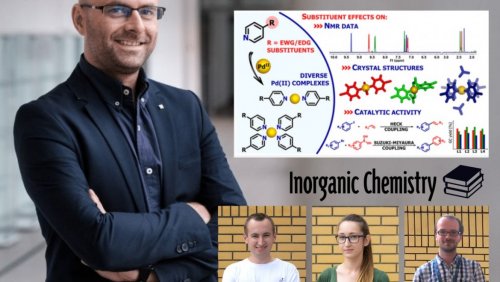 To tylko przykład współpracy naukowej z doktorantami. Współautorami publikacji pisanej pod kierunkiem prof. Artura Stefankiewicza byli: dr Anna Walczak i doktoranci Gracjan Kurpik i Mateusz Gołdyn