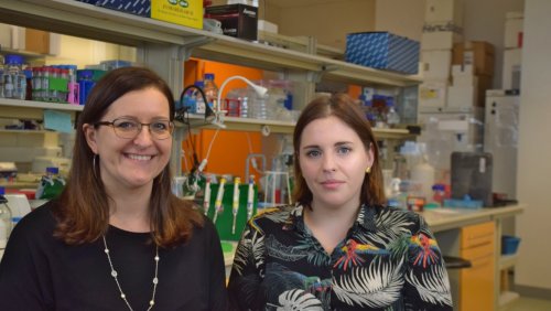 Prof. UAM Kinga Kamieniarz-Gdula i dr Martyna Plens-Gałąska, fot. Apoorva Shrivastava