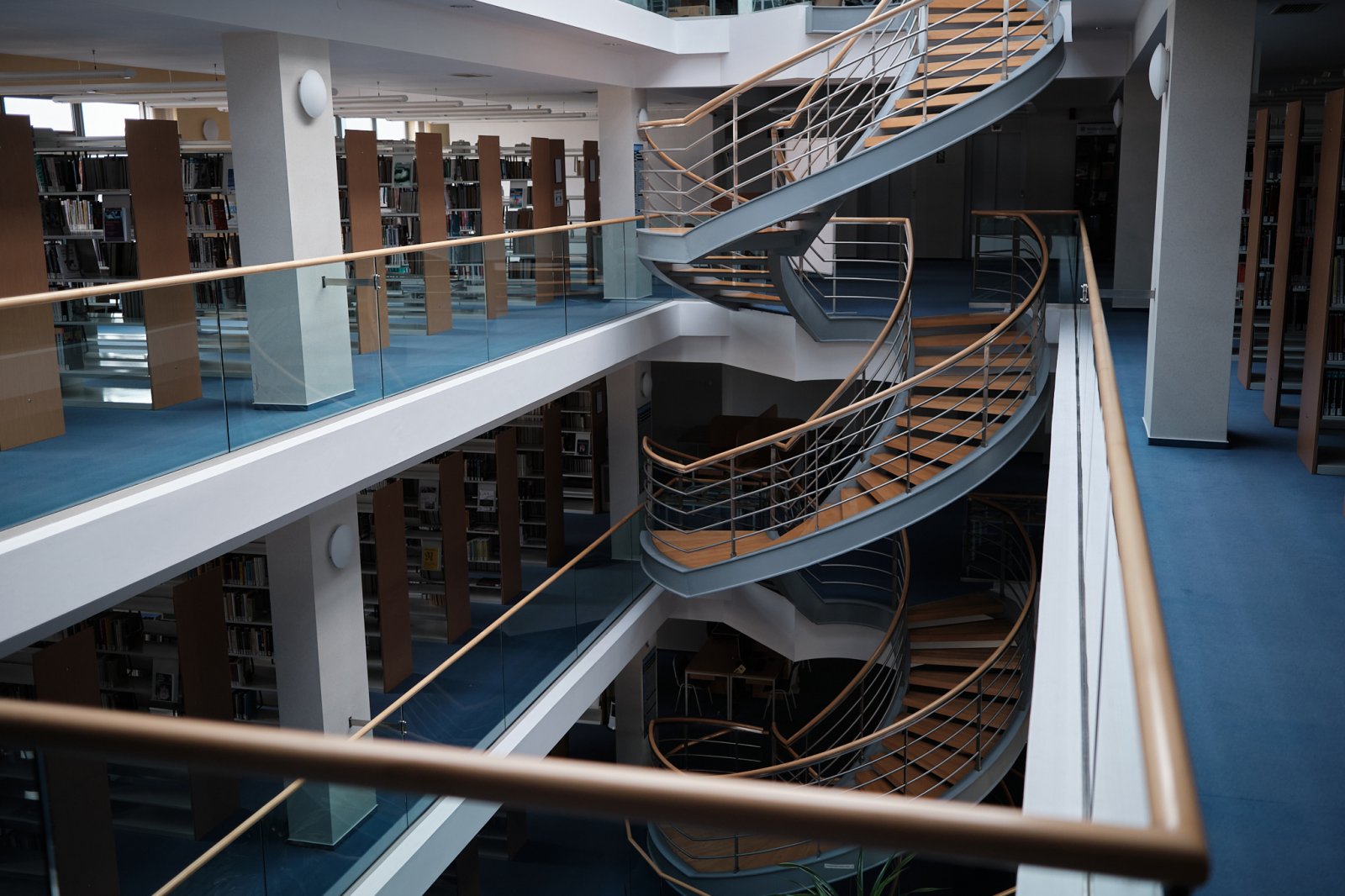 Biblioteka Collegium Polonicum w Słubicach. fot. Władysław Gardasz