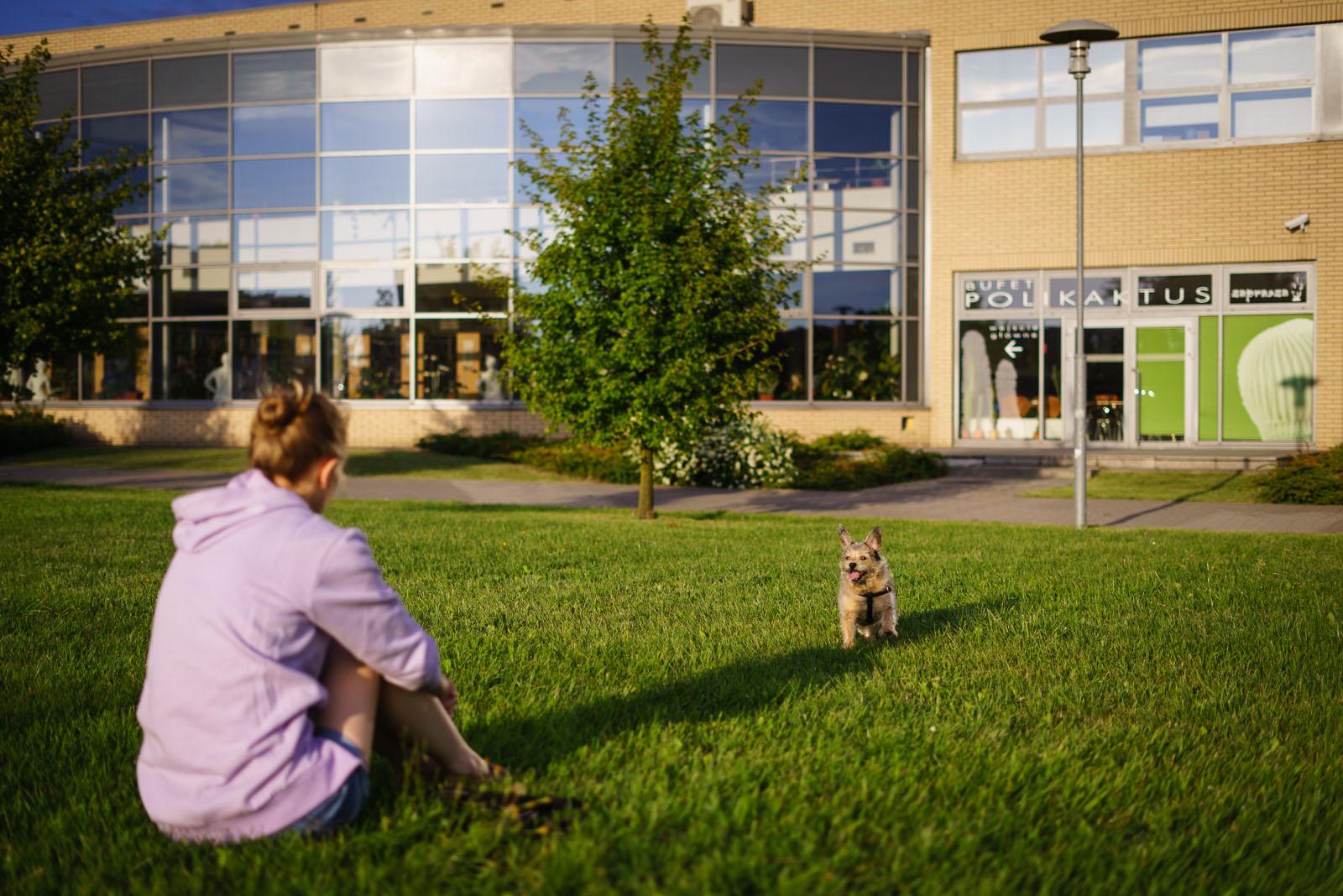 Lato na Morasku. Fot. Adrian Wykrota