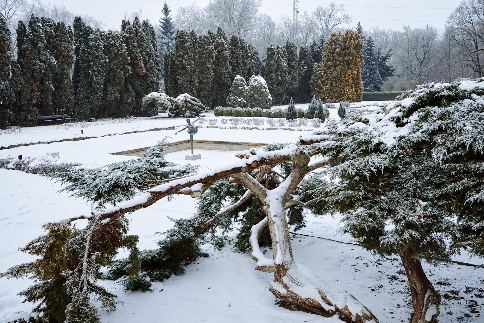 Ogród Botaniczny UAM. fot. Władysław Gardasz