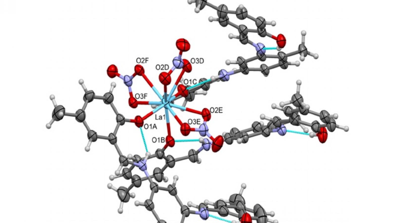 Małgorzata T. Kaczmarek