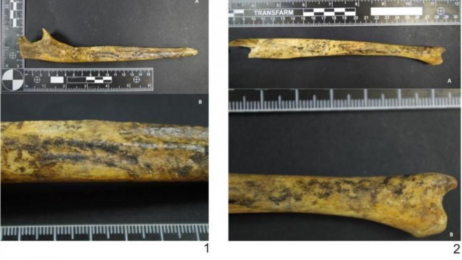 fot. Danuta Żurkiewicz