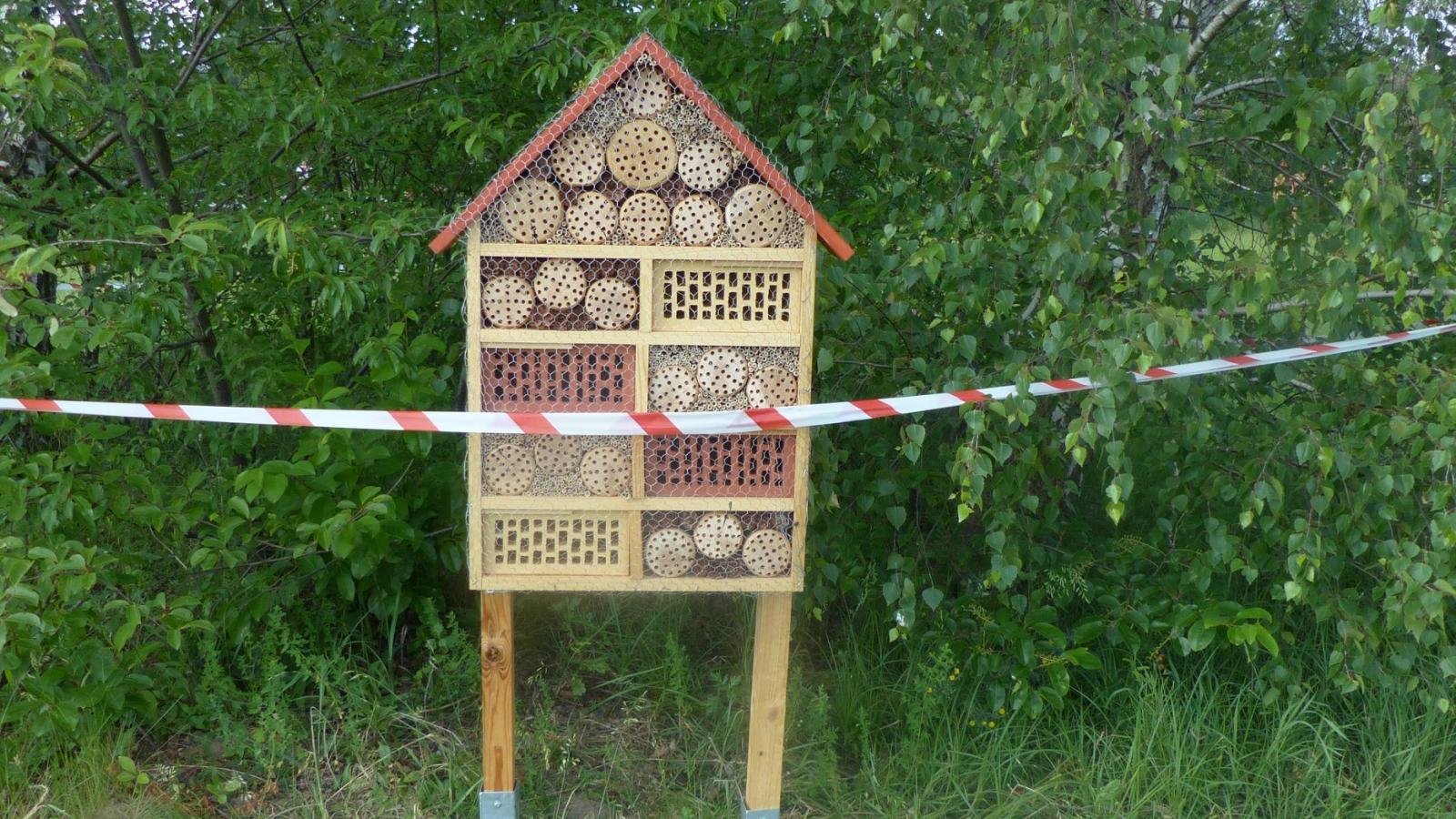 Fot. Jagoda Haloszka