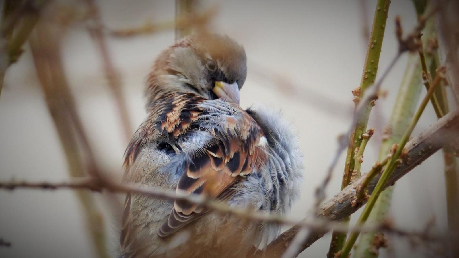 Fot. Jagoda Haloszka