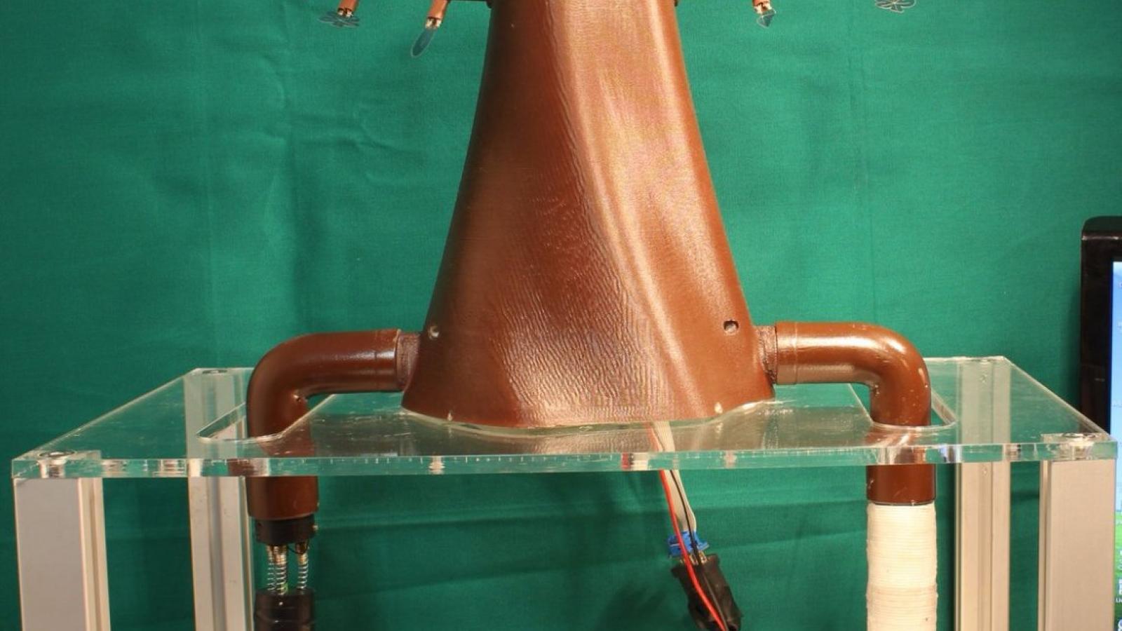 Plantoid, fot. Wikimedia