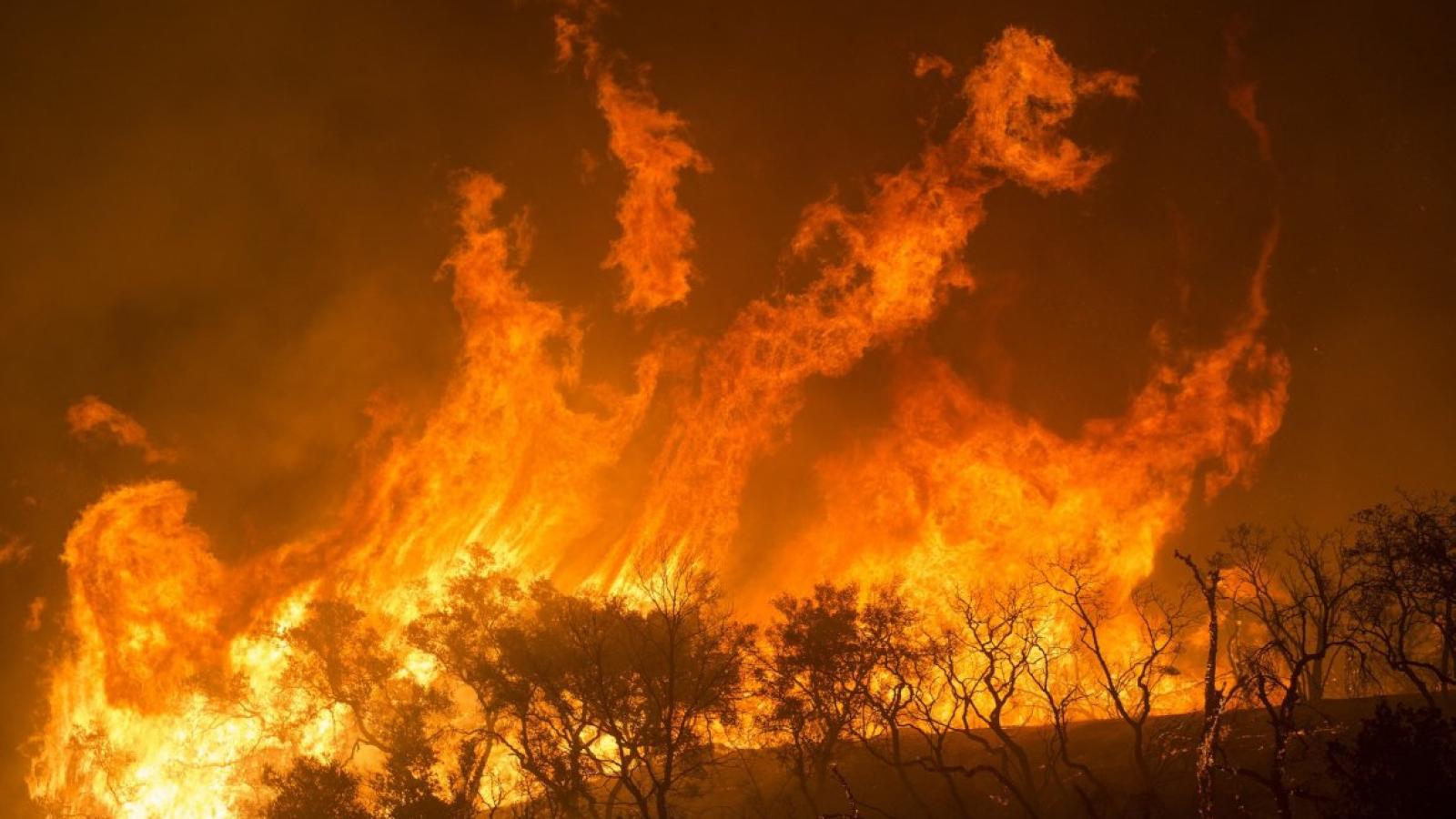 Fot. skeeze, Pixabay 