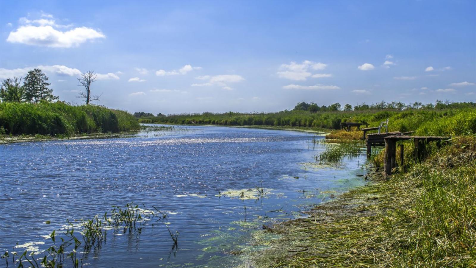 Wysychająca Noteć, Fot. Marcin Maziarz, Magazyn67