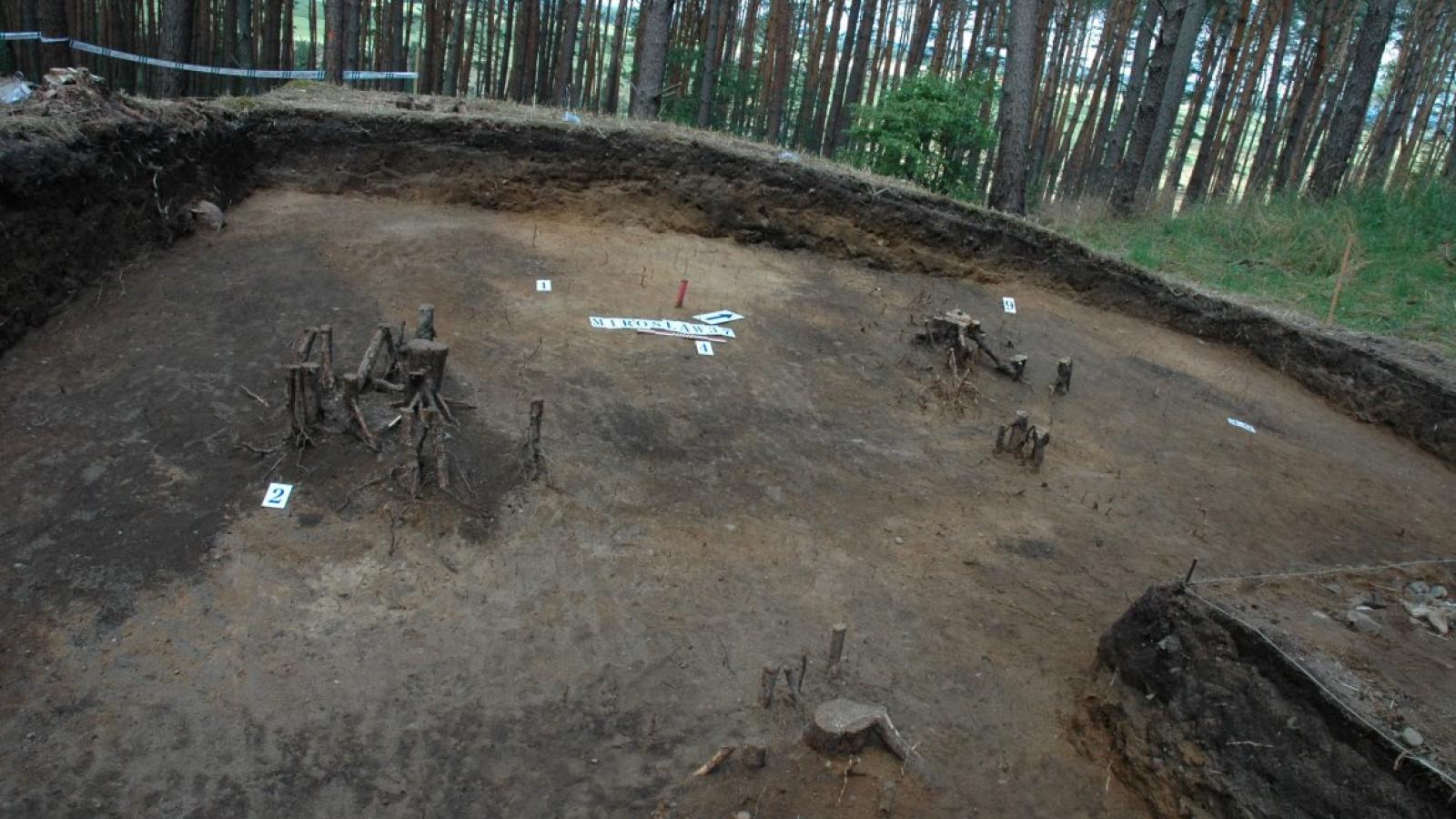 Prof. Andrzej Michałowski prowadzi badania w Mirosławiu od kilku sezonów