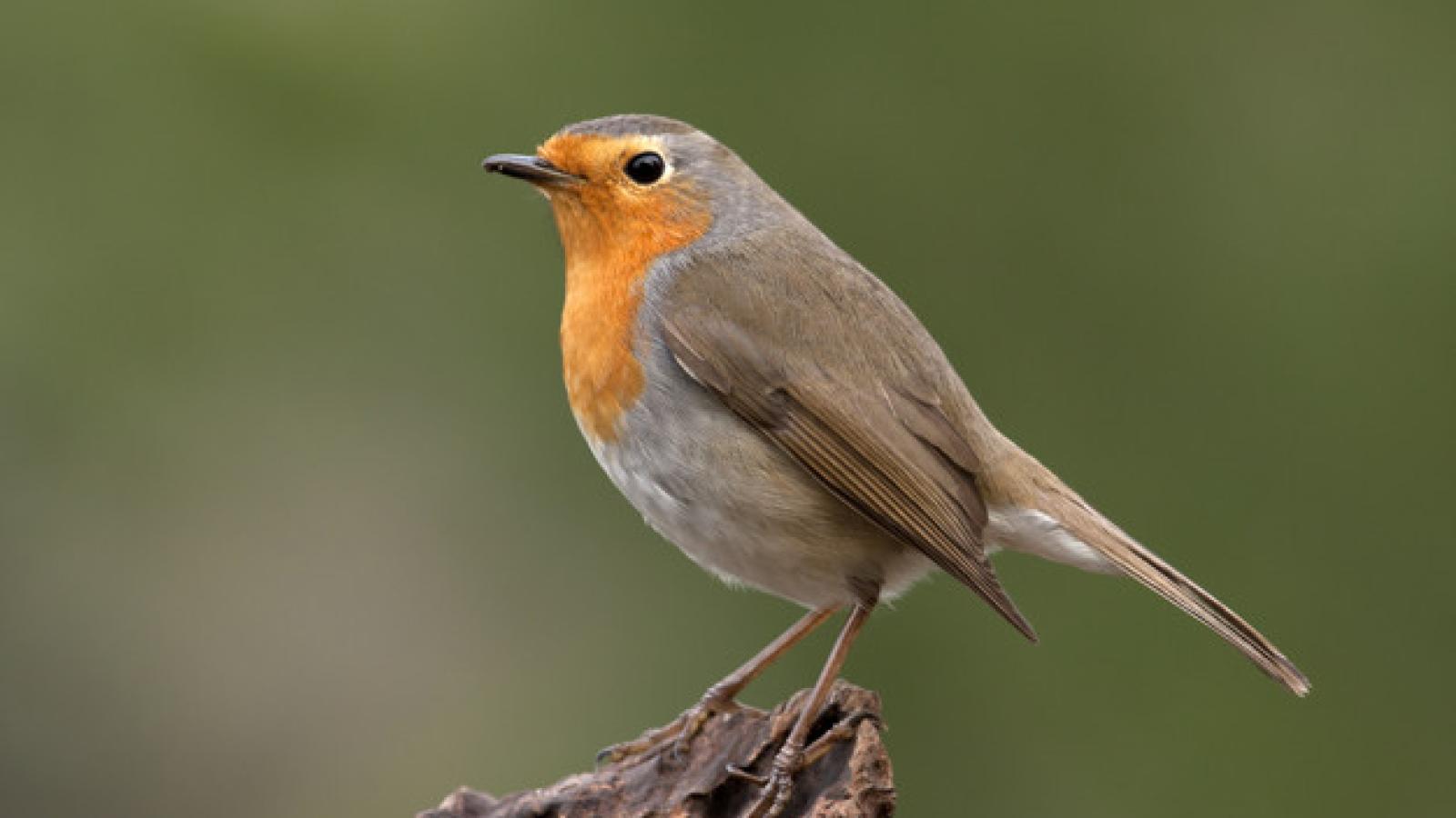 Dr Przemysław Kurek jest współautorem publikacji w Nature. fot. freepik.com