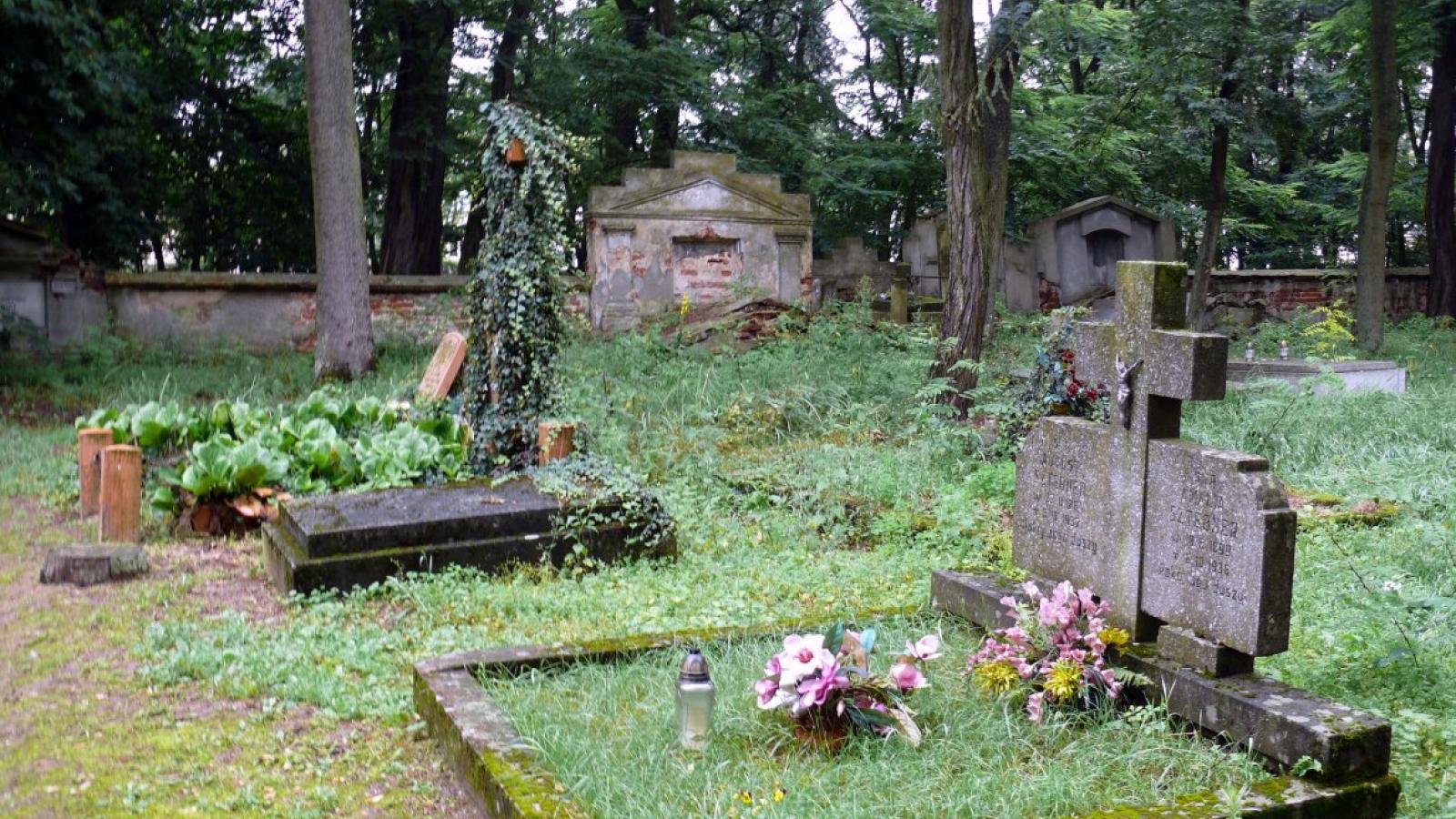 Cmentarz ewangelicki w Kole, fot. Kolanin (Wikipedia)