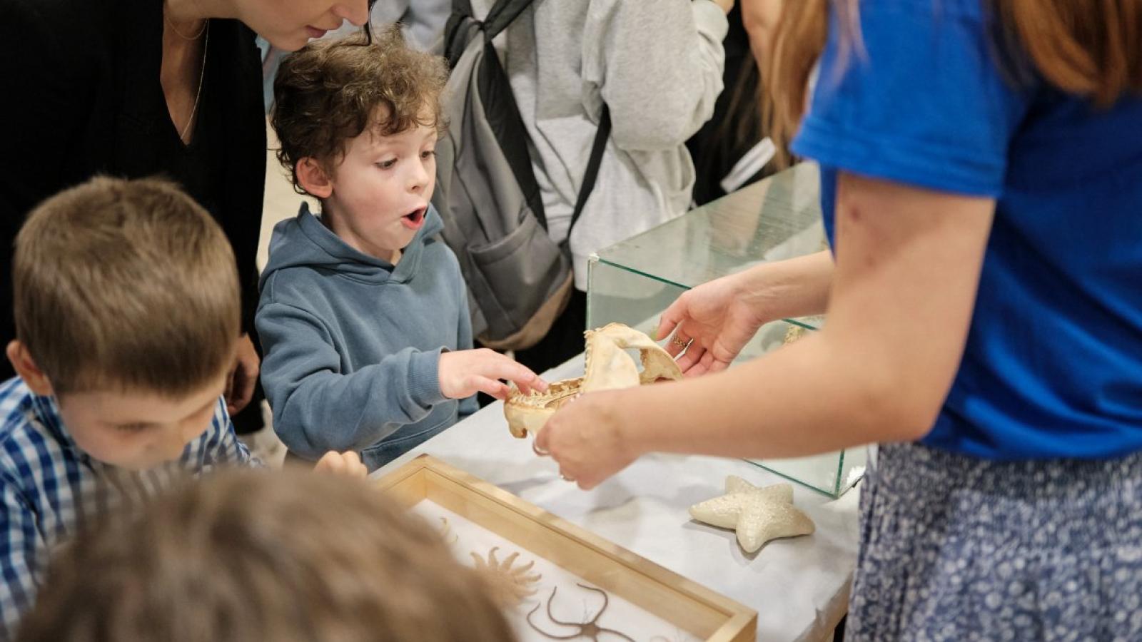 Noc Naukowców 2024, fot. Władysław Gardasz