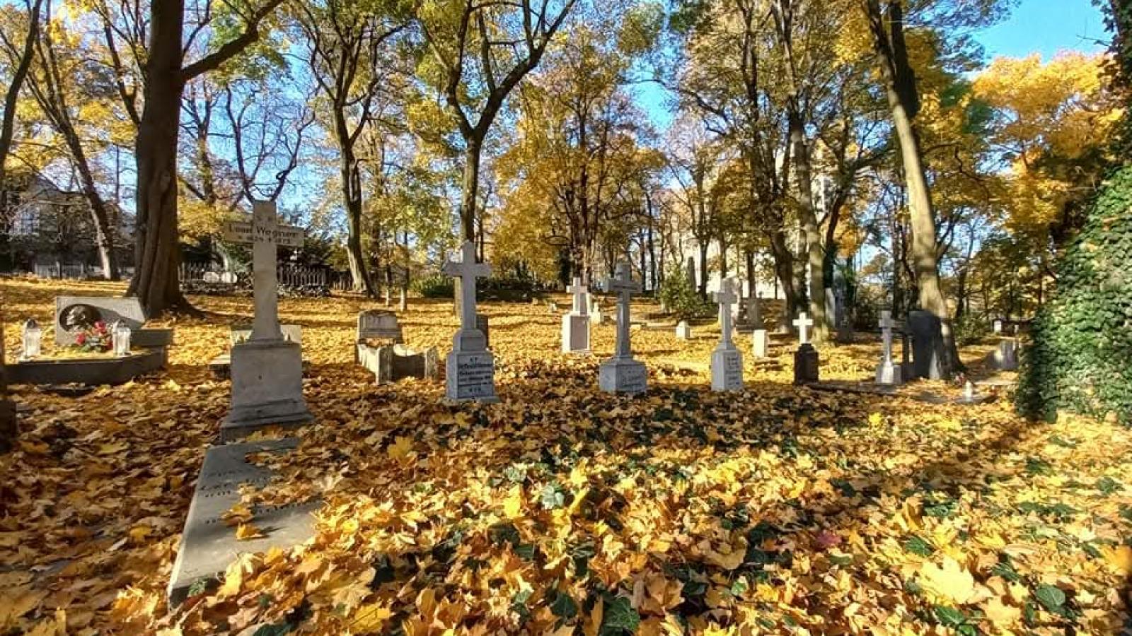 Wszystkich Świętych