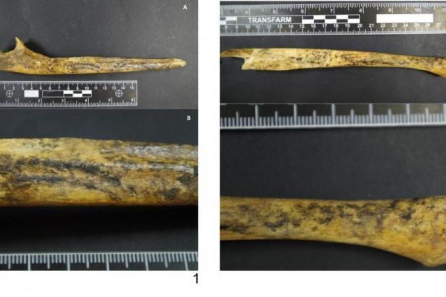 fot. Danuta Żurkiewicz