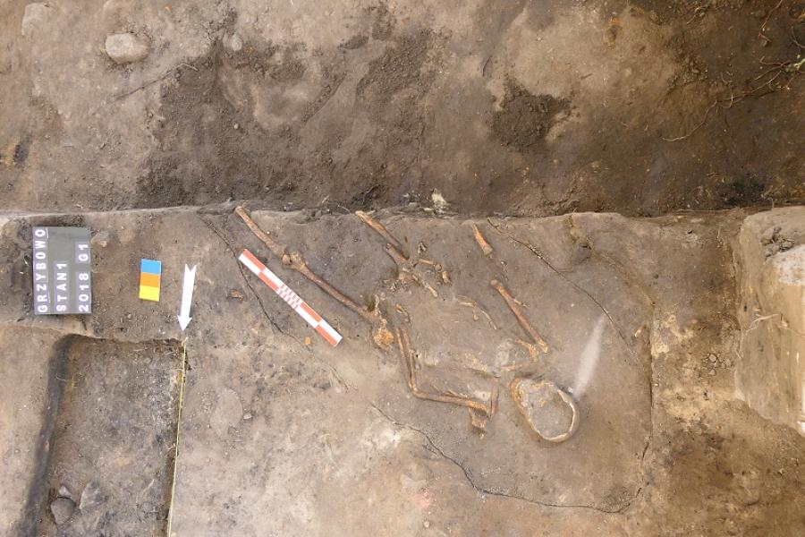 fot. Jacek Wrzesiński