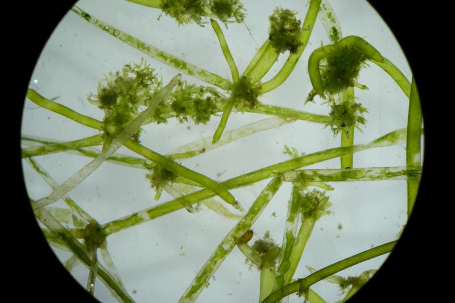 Fot. Ryszard Piotrowicz