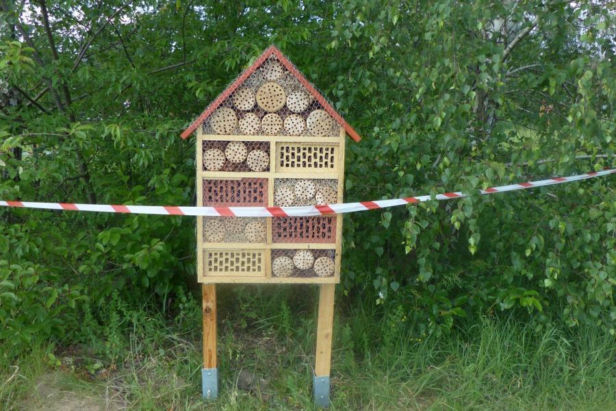 Hotel dla owadów - zwycięski projekt pierwszej edycji IDEAMU fot. Jagoda Haloszka