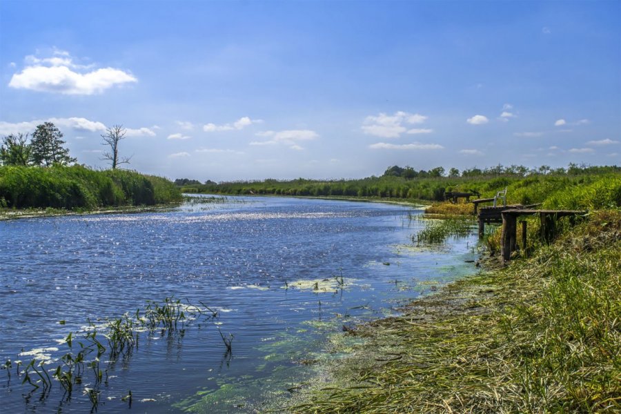 Wysychająca Noteć, Fot. Marcin Maziarz, Magazyn67