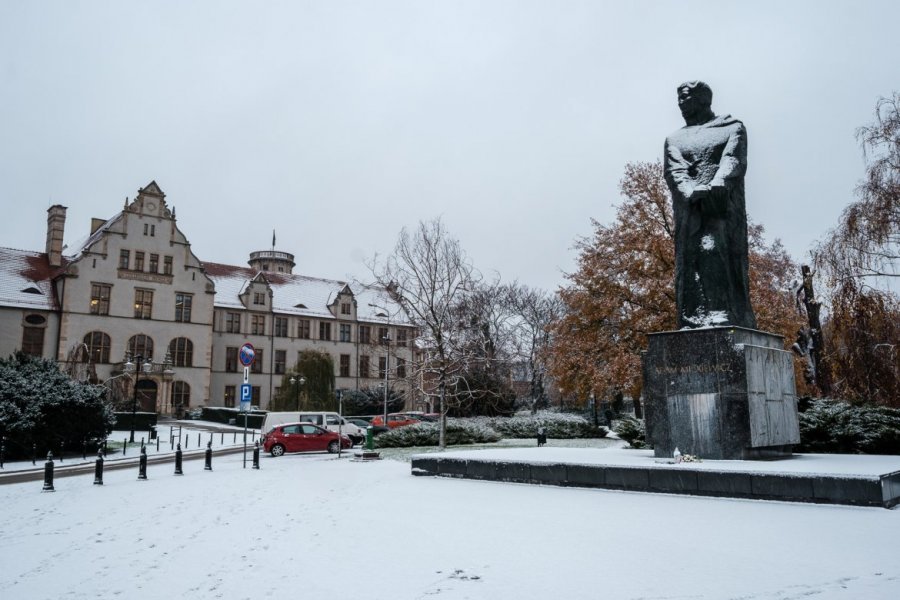 Collegium Minus, for. A.Wykrota