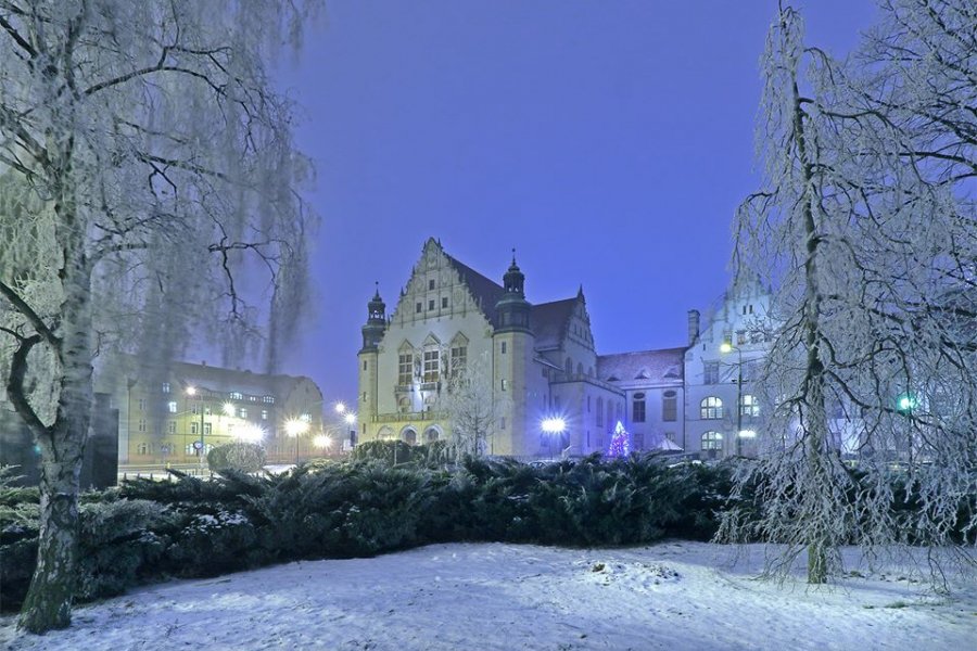 Fot. Mikołaj Kamieński