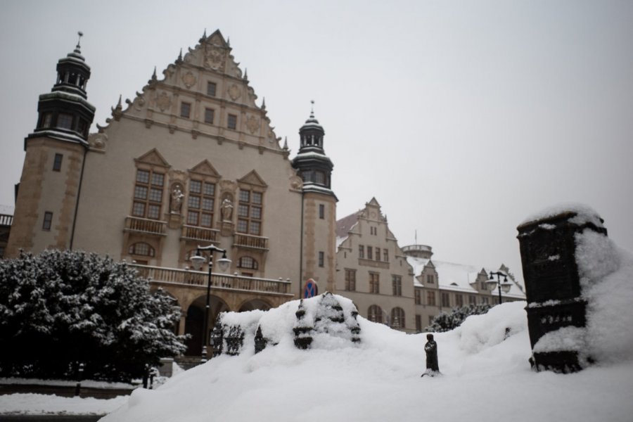 Stypendia im. dr. Jana Kulczyka, fot. Adrian Wykrota