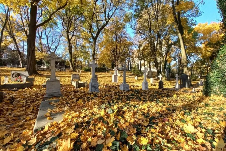 Wszystkich Świętych