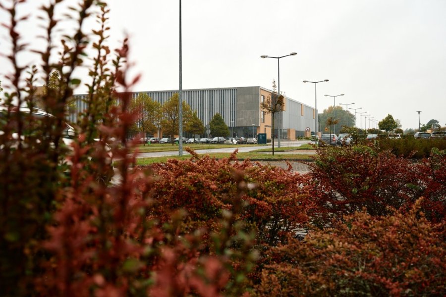 Dni ID-UB w UAM odbędą się na Kampusie Morasko, fot. Władysław Gardasz